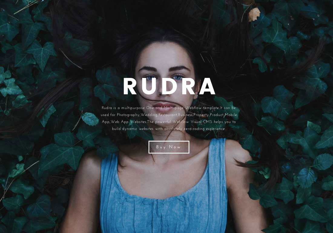 Rudra - Webflow Template