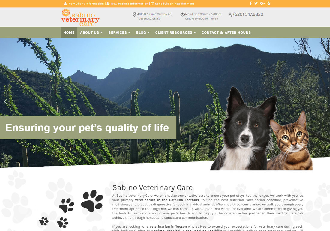 Sabino Veterinary Care