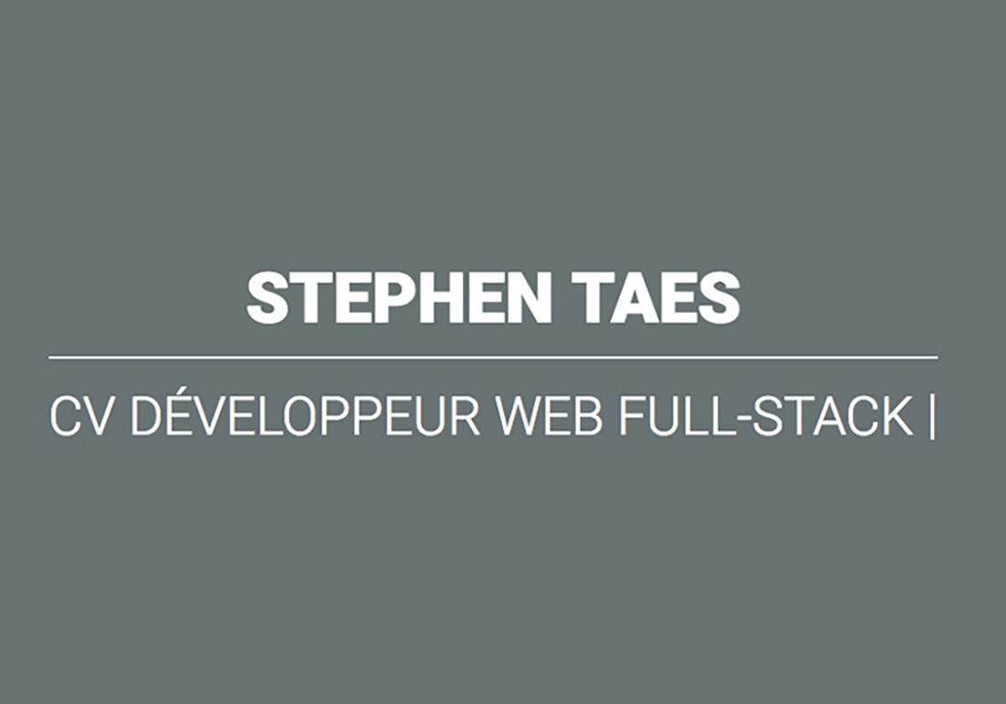 CV developpeur web