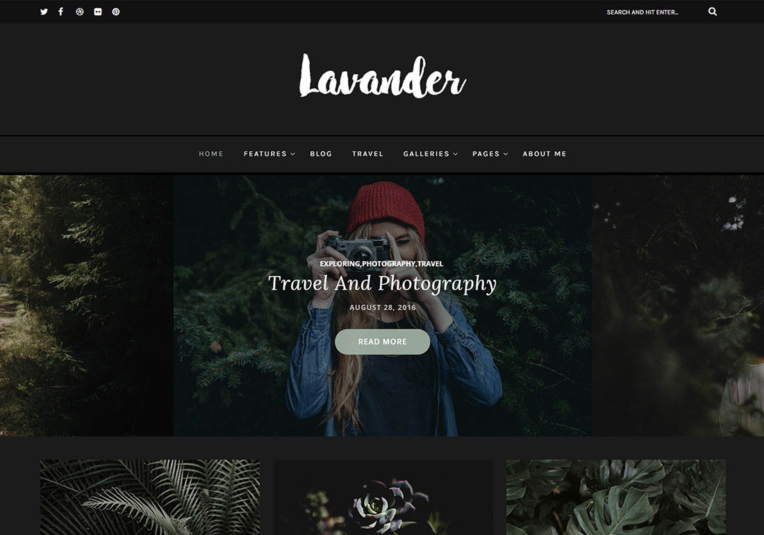 Lavander - A Lifestyle Blog