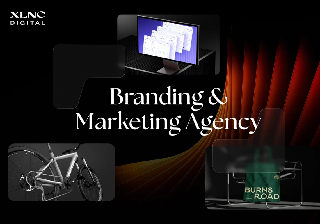 XLNC  Digital 