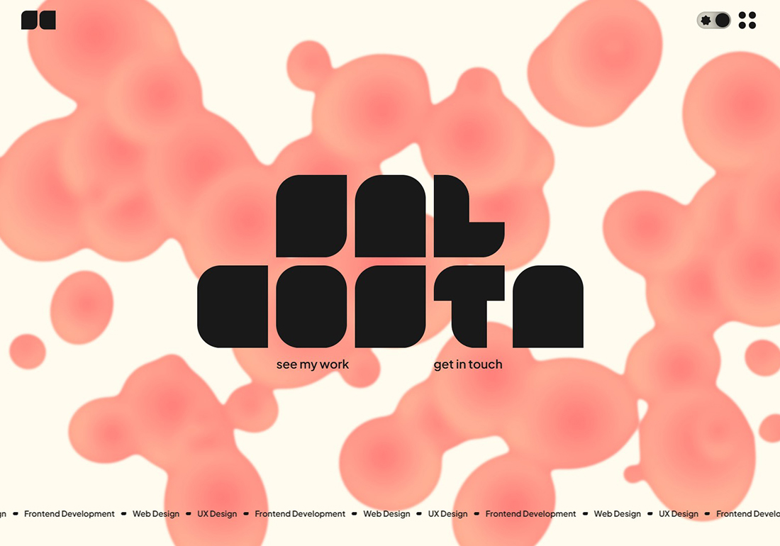 Sal Costa - Portfolio