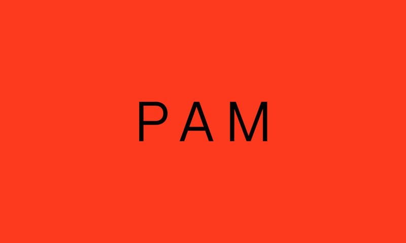 PAM Studio 