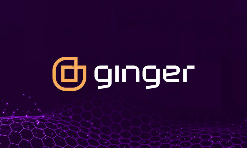 Ginger IT Solutions