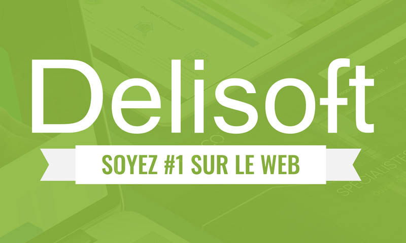 Conception site web Delisoft