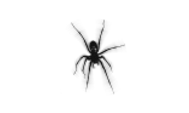 Lyrawwweb
