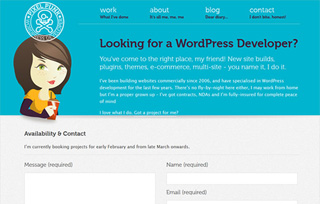 PixelPunk WordPress Developer