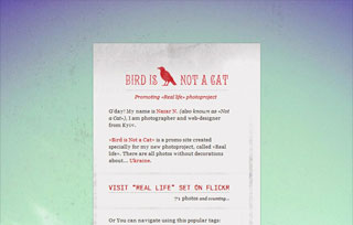 Bird is Not a Cat