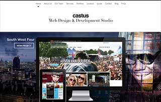 Castus Web Design Studio