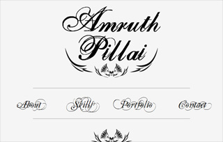 Amruth Pillai's Portfolio