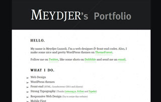 Meydjer Luzzoli's Web Design Portfo