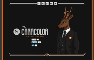 Mr caracolor