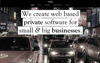 Nicholson Web Software