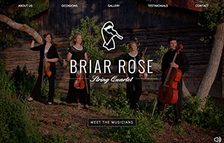 Briar Rose Strings