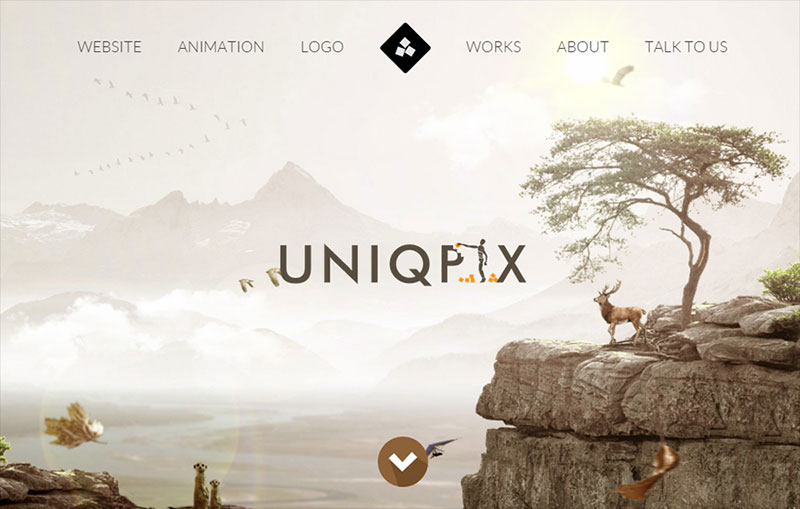 Uniqpix Creative Studio