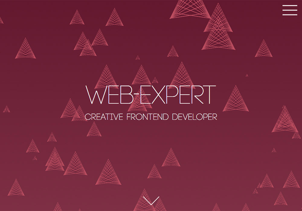 Web-Expert