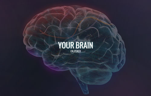 Your Brain On Poker