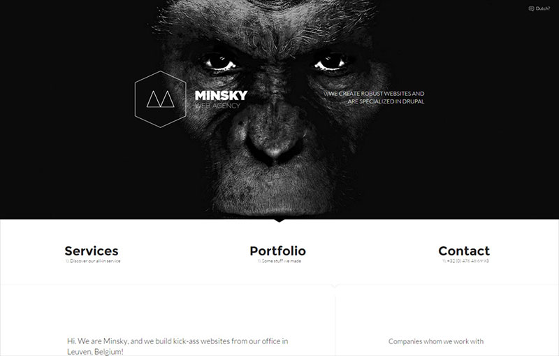 Minsky Web Agency
