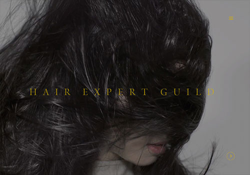 Hair Expert Guild