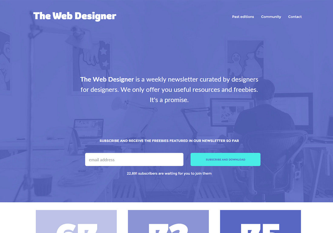 The Web Designer Newsletter