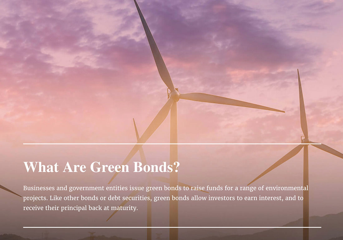 How green bonds work