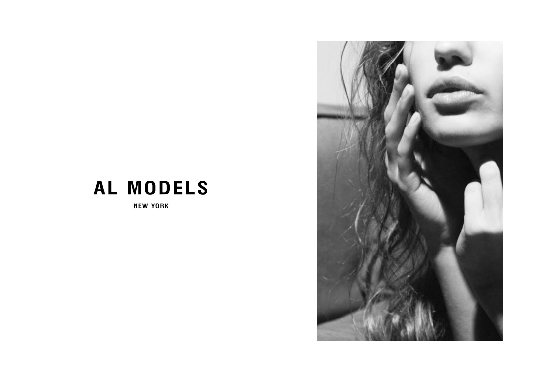 AL Models