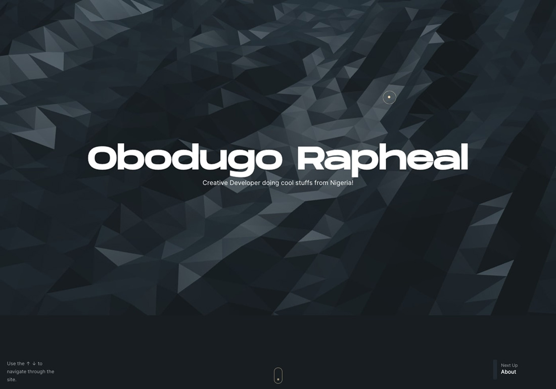 Obodugo Rapheal Portfolio