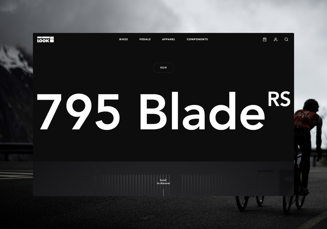 Look 795 Blade RS