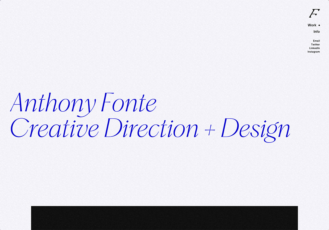 The Portfolio of Anthony Fonte