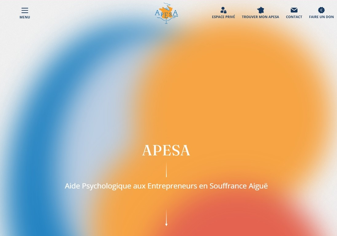 APESA France