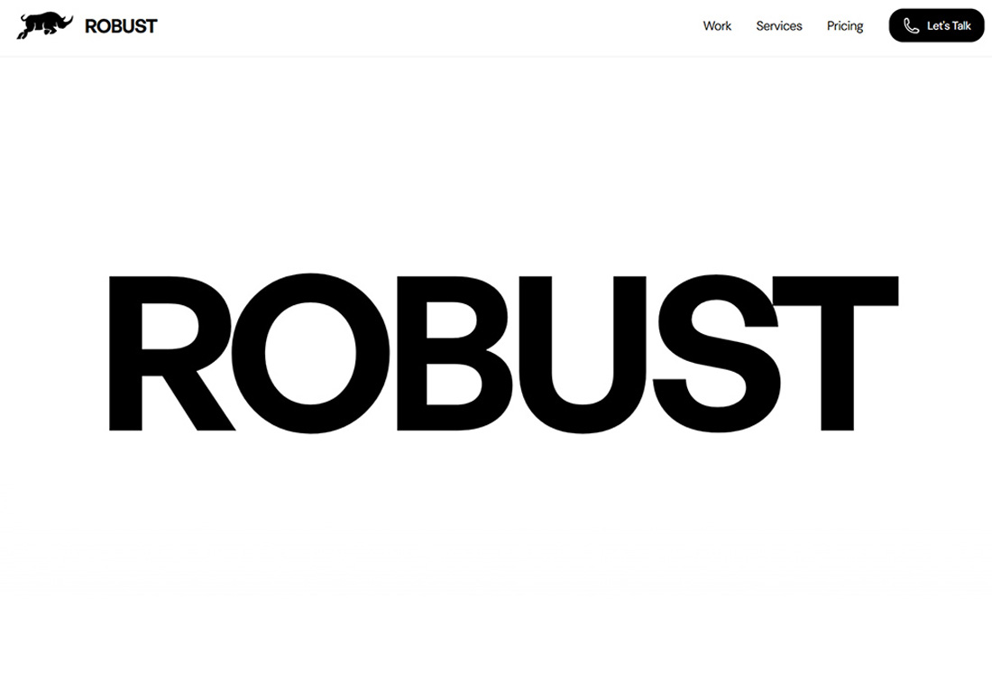 ROBUST Design Studio