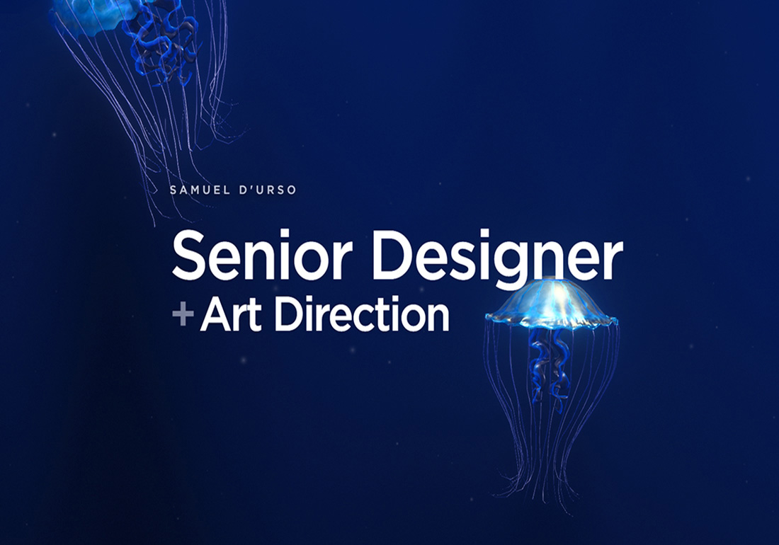 Senior Design Portfolio - S. D'Urso