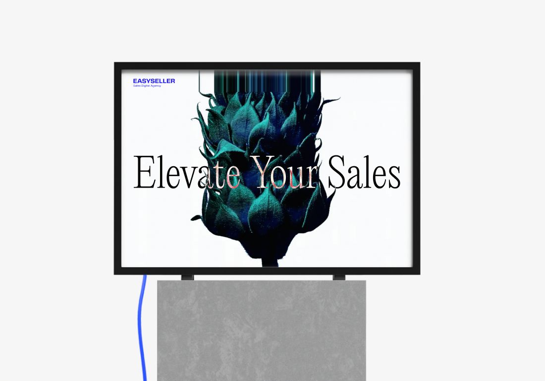 EASYSELLER | Elevate Your Sales