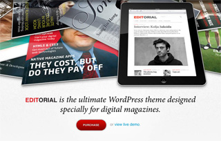 Editorial WordPress Theme