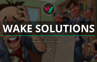 Wake Solutions