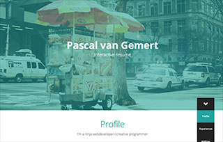 Pascal van Gemert - Online Resume