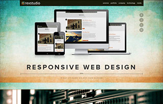 Rex Studio Web Design