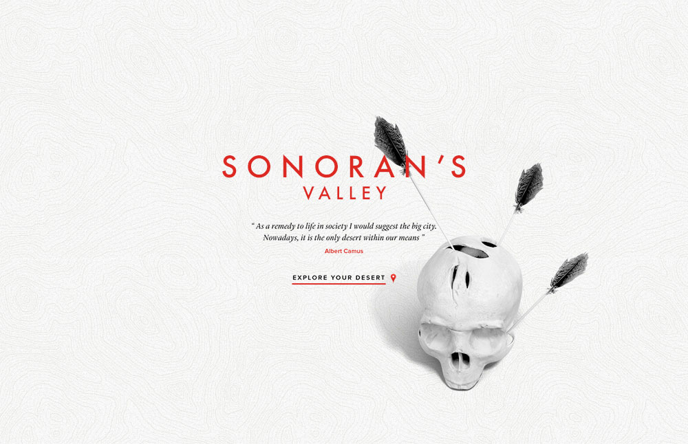 Sonoran's Valley