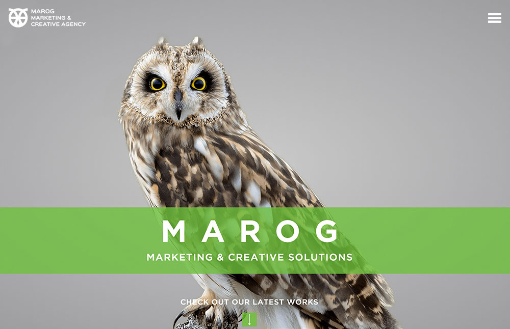 Marog Creative Agency