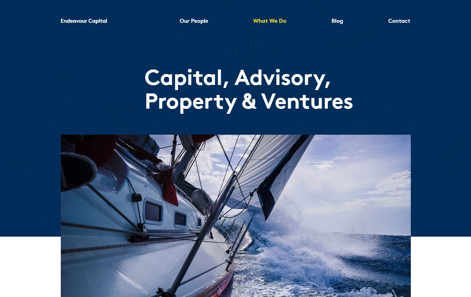 Endeavour Capital - Website of the Day
