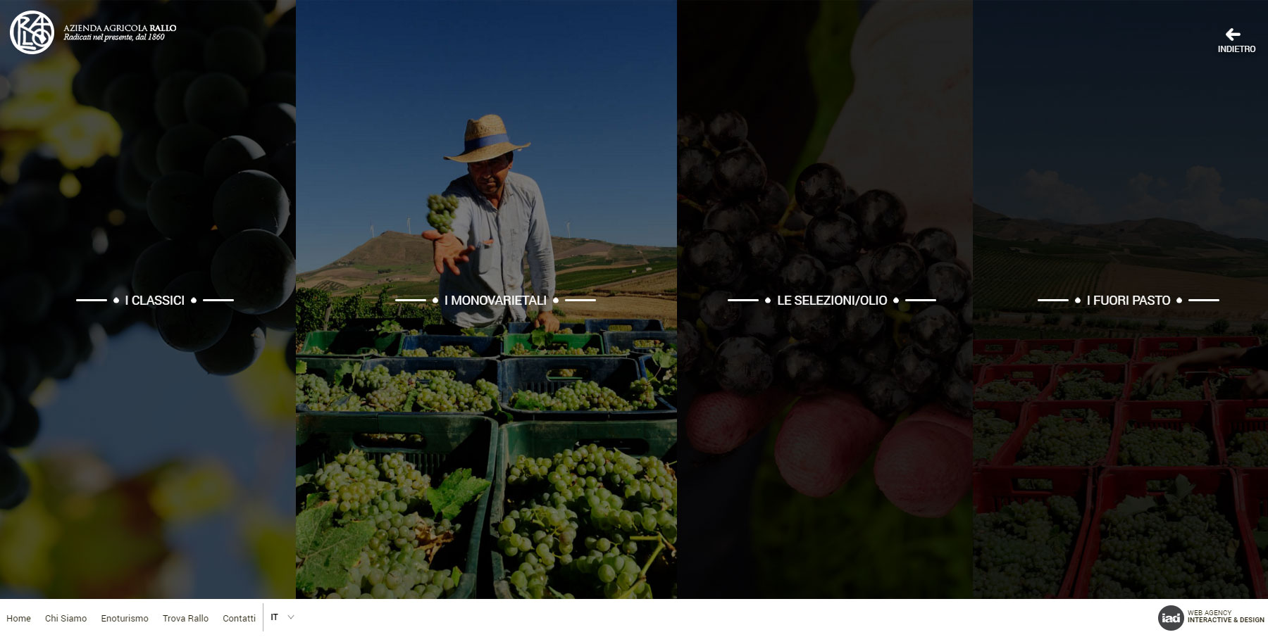 Cantine Rallo - Website of the Day