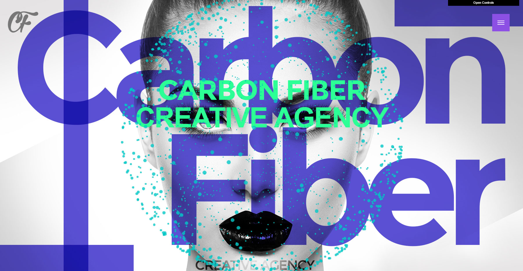 Carbon Fiber Creative Agency - Website of the Day