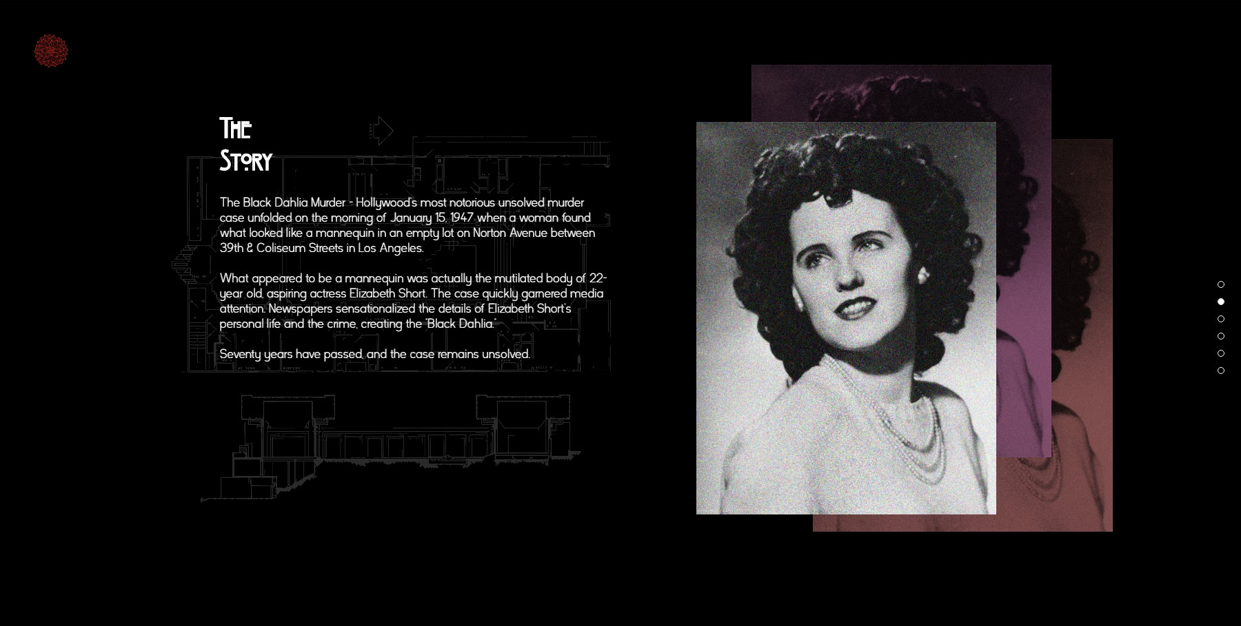 The Black Dahlia - Website of the Day