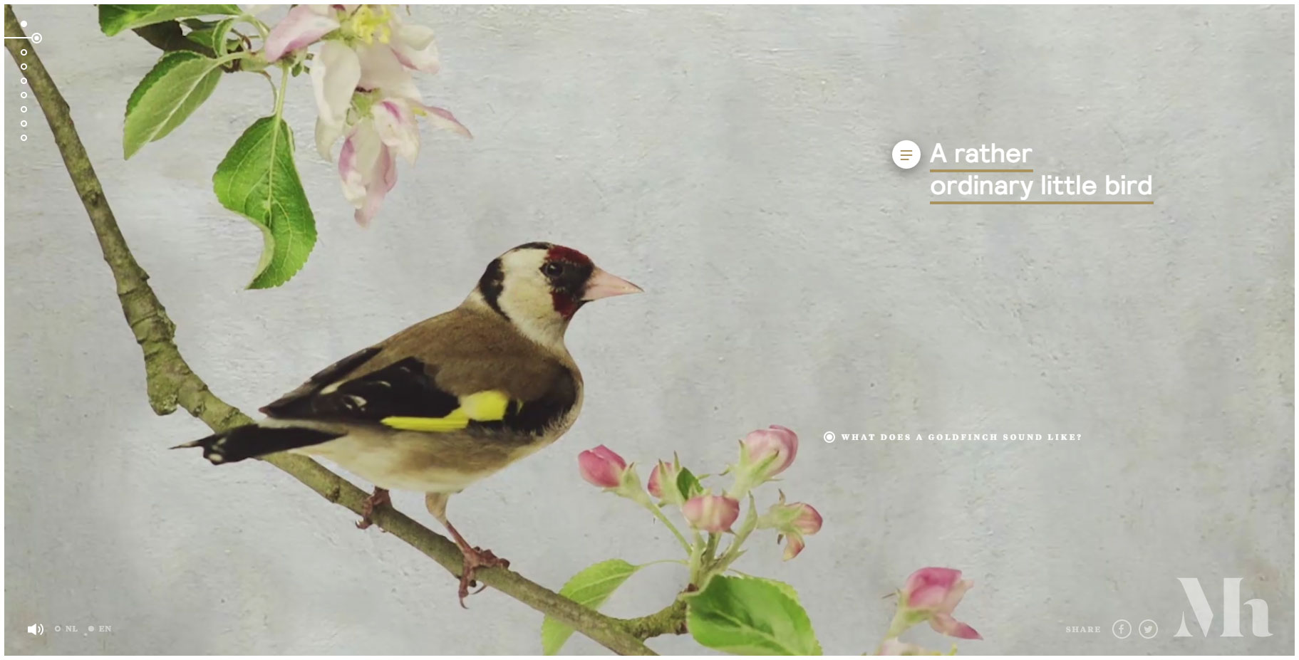 The Goldfinch - Website of the Day