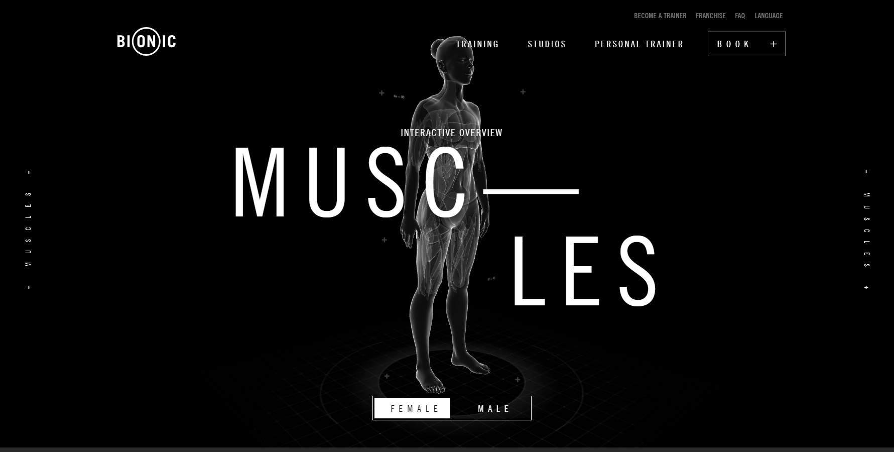 Bionic Sport - Website of the Day