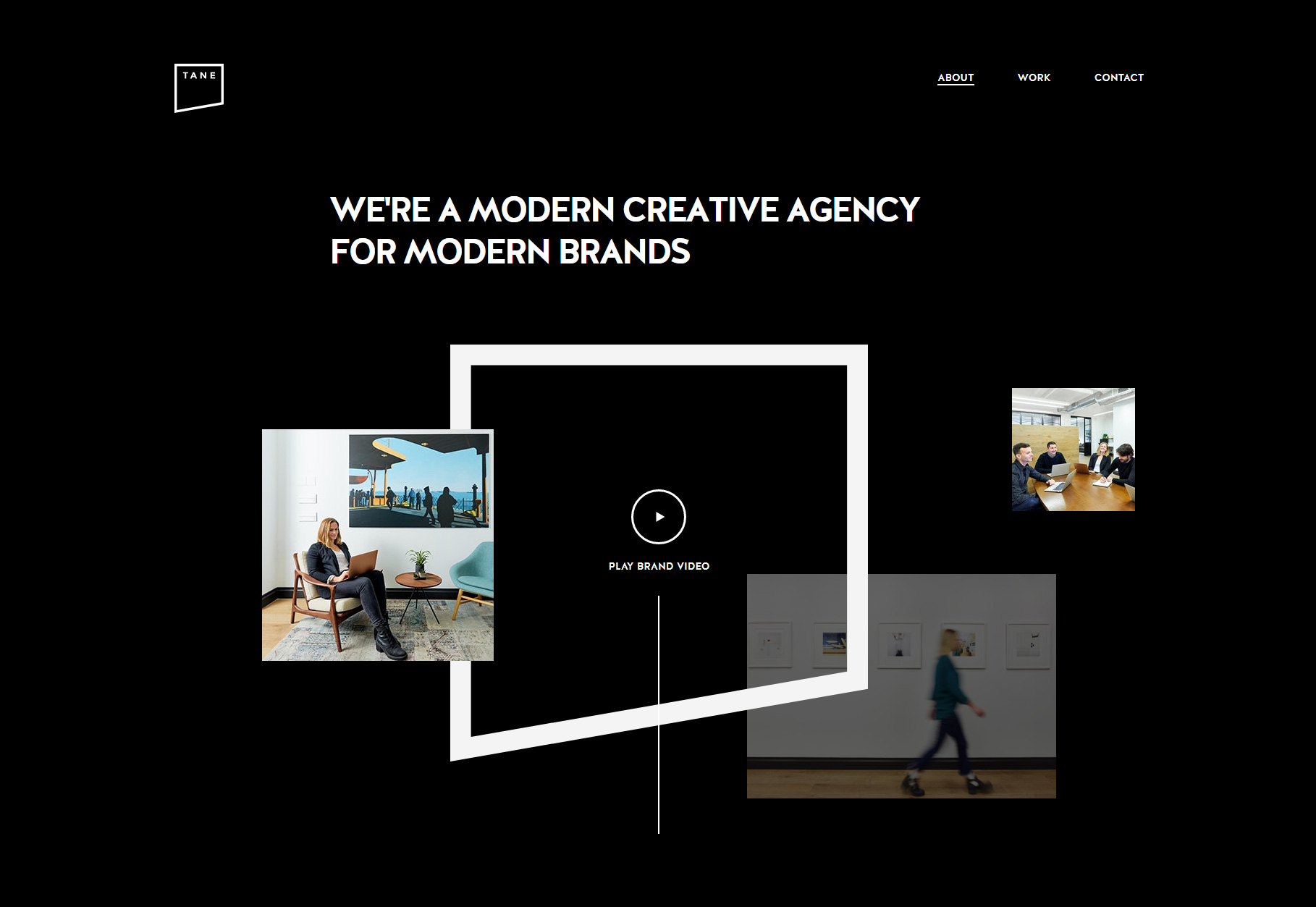 Tane - Website of the Day