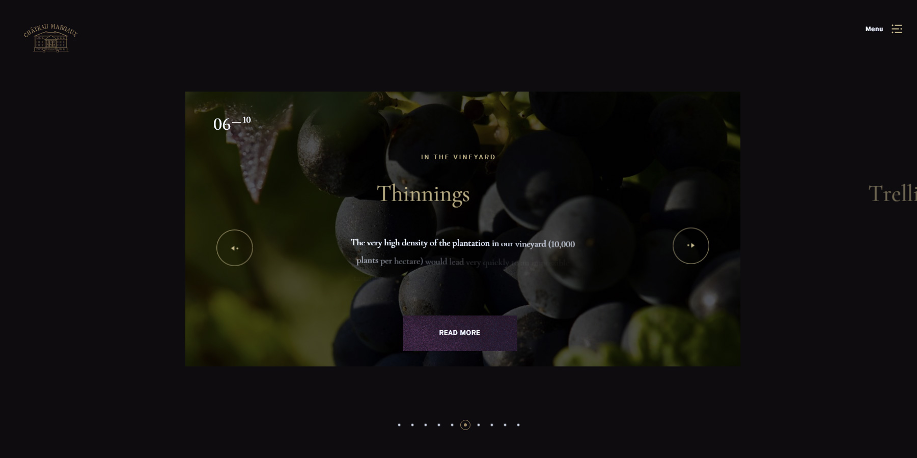 Chateau Margaux - Website of the Day