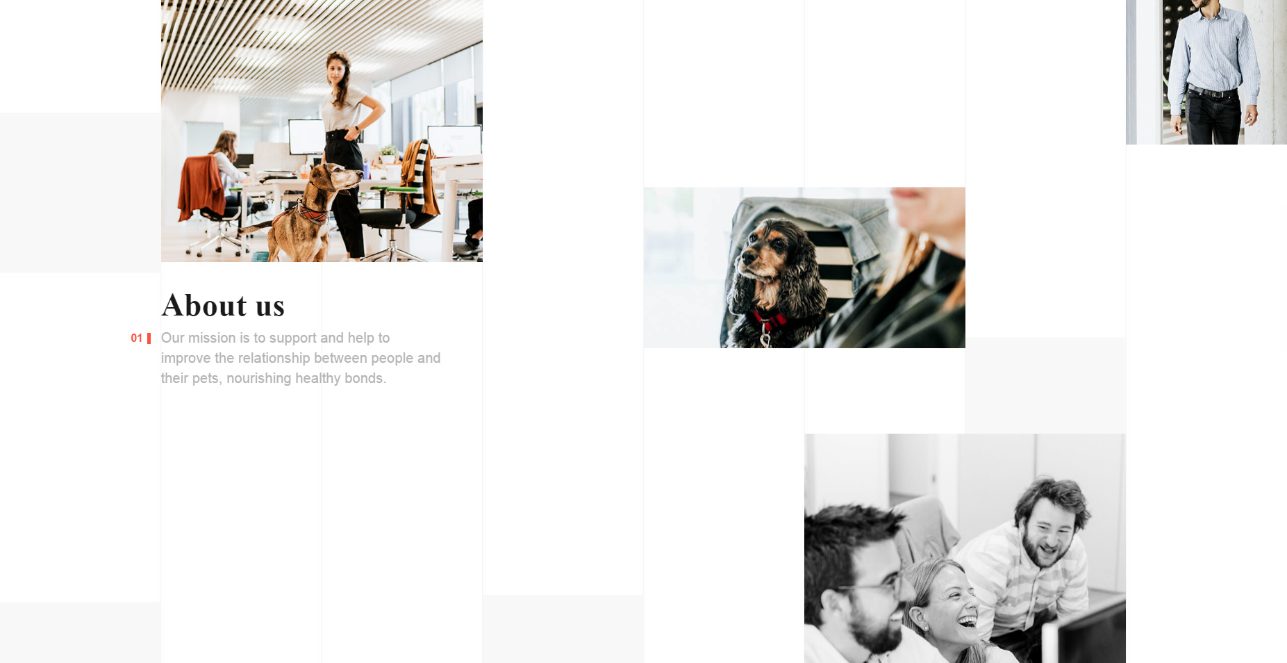 Affinity - Talent Brand - Website of the Day