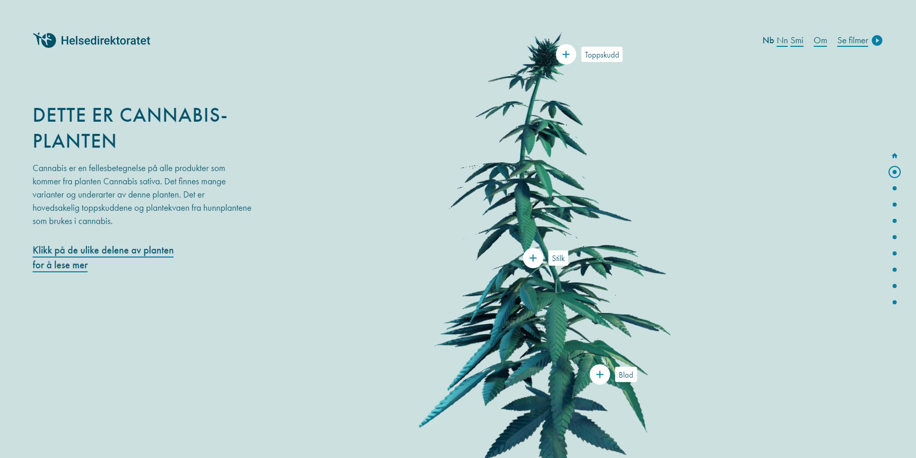 The Weed Center - Website of the Day