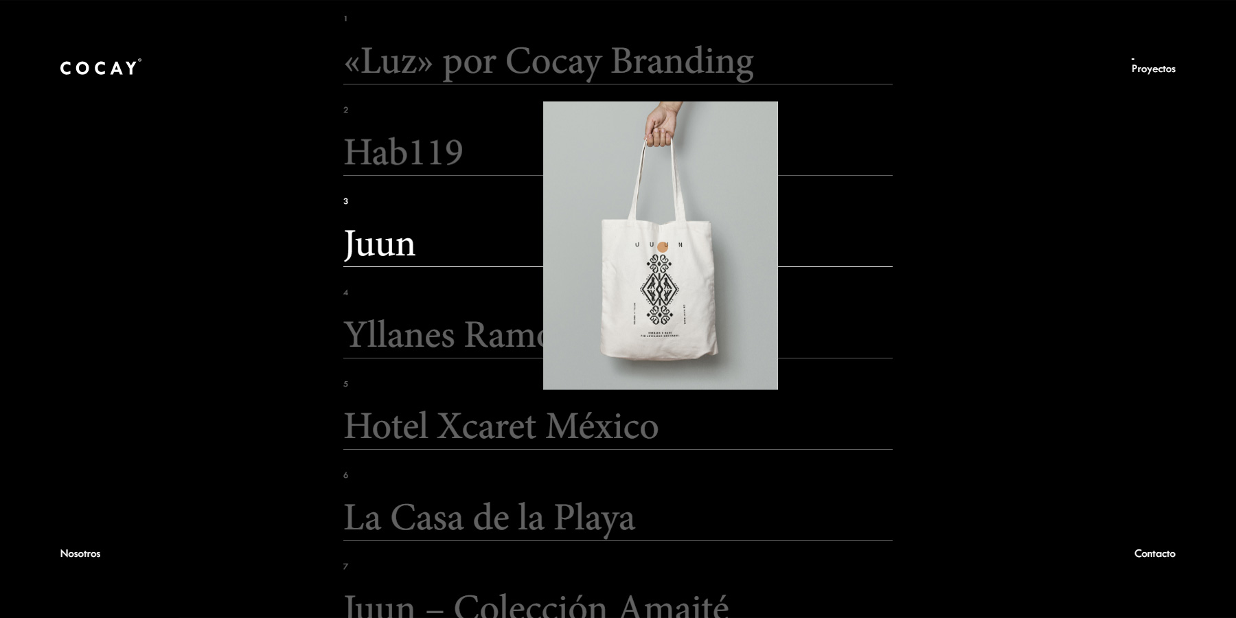Cocay Branding - Website of the Day